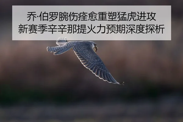 qiao-bo-luo-wan-shang-quan-yu-zhong-su-meng-hu-jin-gong-xin-sai-ji-xin-xin-na-ti-huo-li-yu-qi-shen-du-tan-xi-2-478.jpg