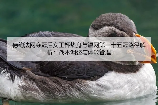德约法网夺冠后女王杯热身与温网第二十五冠路径解析：战术调整与体能管理