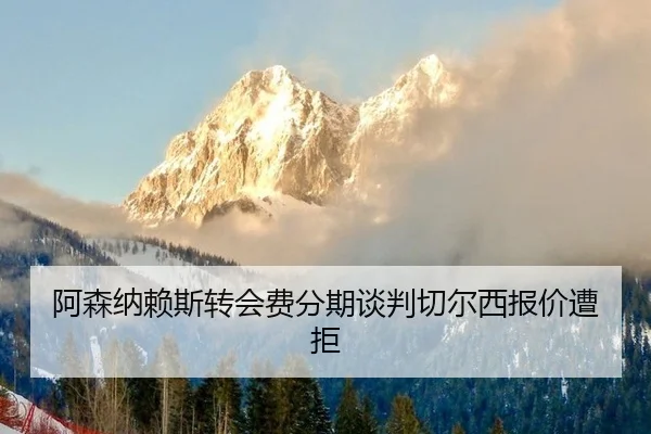 a-sen-na-lai-si-zhuan-hui-fei-fen-qi-tan-pan-qie-er-xi-bao-jia-zao-ju-3-633.jpg