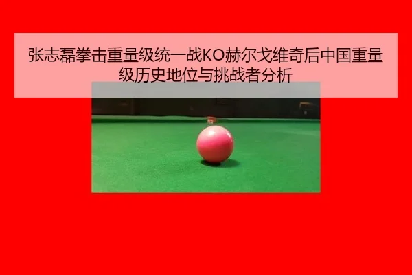 张志磊拳击重量级统一战KO赫尔戈维奇后中国重量级历史地位与挑战者分析